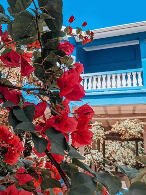Vacation Home Blue Lotus Caye Caulker Buitenkant foto