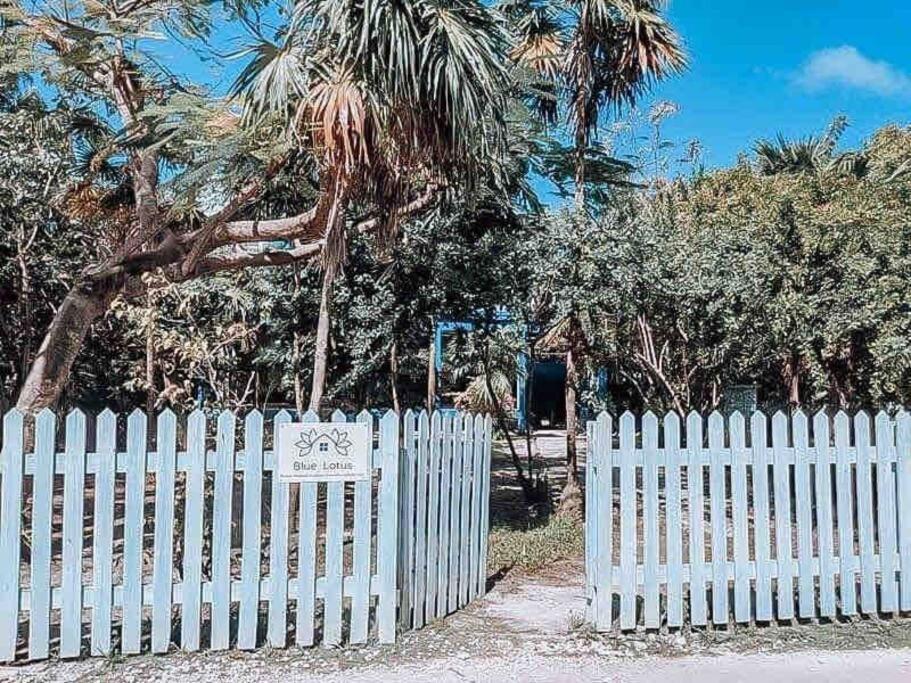 Vacation Home Blue Lotus Caye Caulker Buitenkant foto