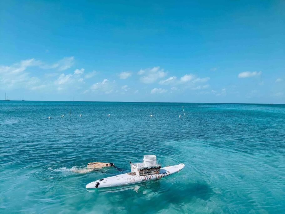 Vacation Home Blue Lotus Caye Caulker Buitenkant foto